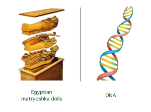 DNA