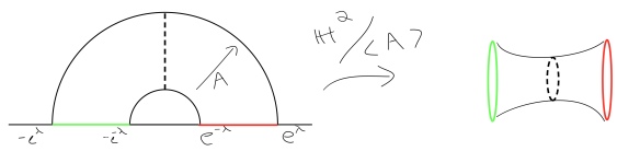 torus Wormhole