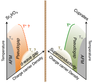 A cartoon showing similarities between Sr2IrO4 and Cuprates