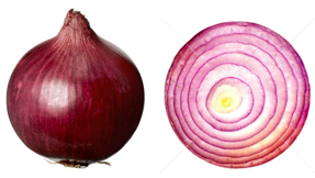 Onion